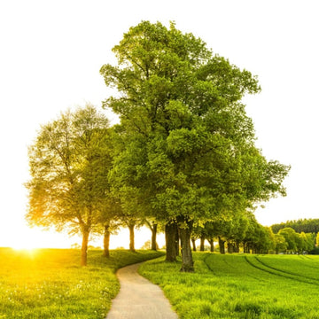 Galamaps obrazy na míru plakáty dekorace dárek pro přitelkyny pro manželku pro přítele rámy hvězdná mapa města znamení zvěrokruhu fotoobraz  ekologie